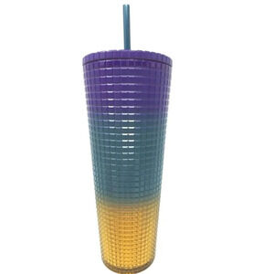 Starbucks Tim Singleton Rainbow Grid Gradient Ombre Tumbler- Venti 24oz
